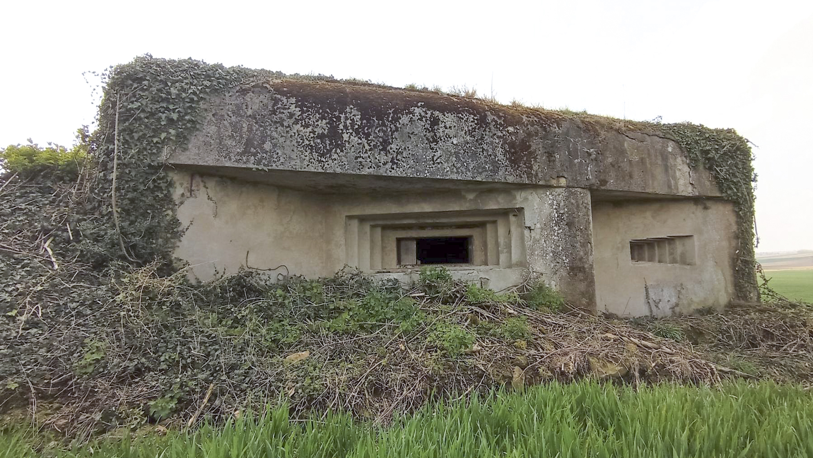 Ligne Maginot - BETTELSTOCK - (Blockhaus pour canon) - Façade de la chambre de tir - Baptiste GAUDIN
