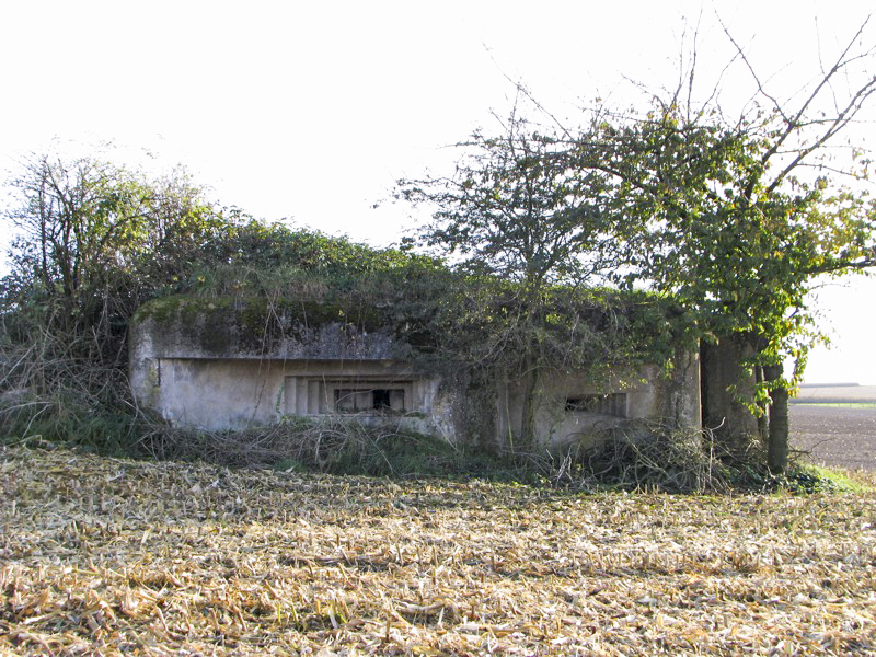 Ligne Maginot - BETTELSTOCK (Blockhaus pour canon) - Façade de la chambre de tir - Antoine SCHOEN