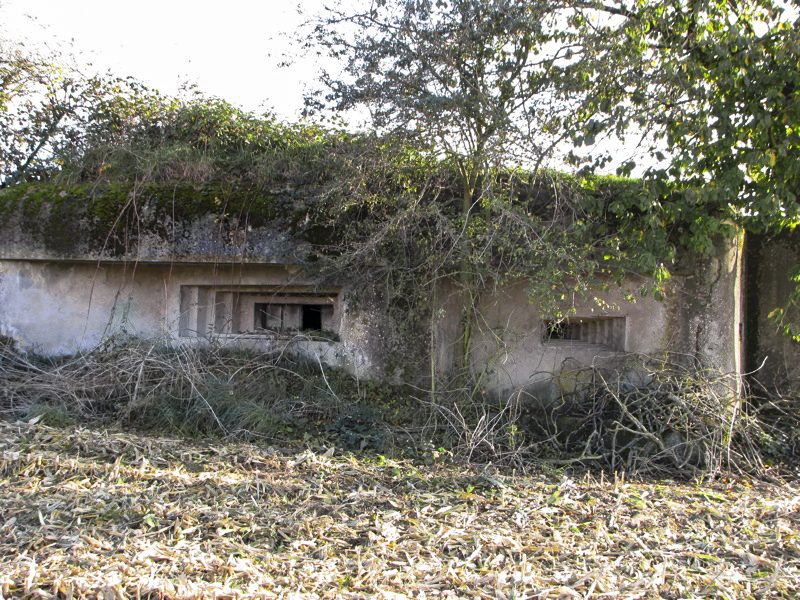 Ligne Maginot - BETTELSTOCK (Blockhaus pour canon) - Façade de la chambre de tir - Antoine SCHOEN