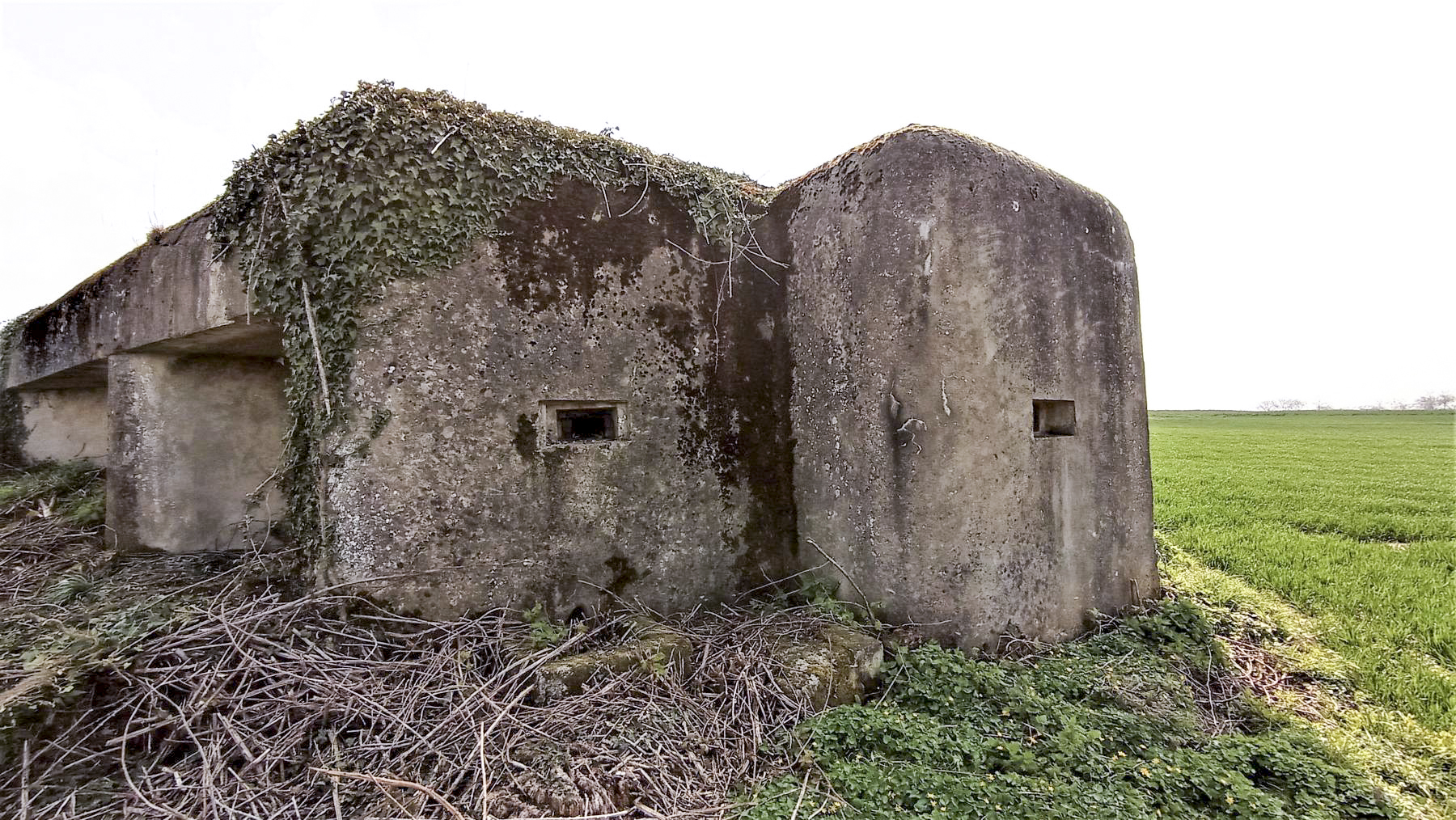 Ligne Maginot - BETTELSTOCK - (Blockhaus pour canon) - Façade coté gauche avec créneaux de défense rapprochée, l'entrée homme est protégée par une petite caponnière - Baptiste GAUDIN