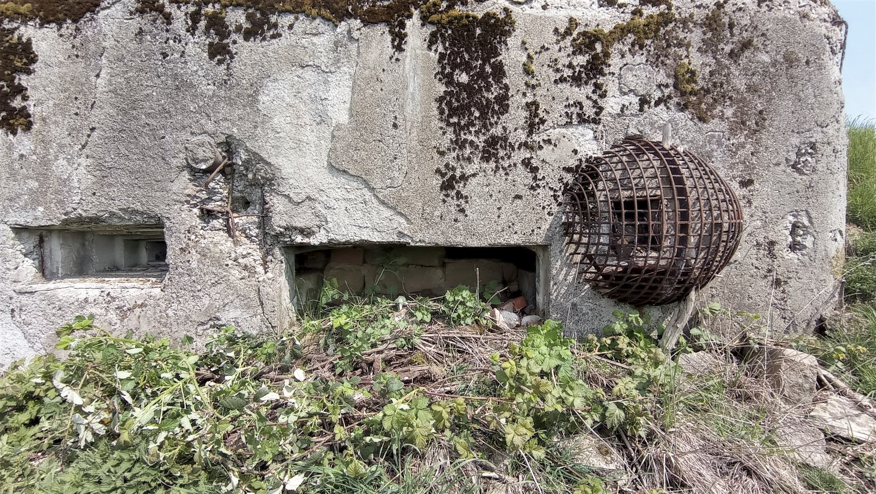 Ligne Maginot - BETTELSTOCK - (Blockhaus pour canon) - L'entrée canon maçonnée et remblayée, le créneau de protection rapprochée arrière et la prise d'air protégée par un treillage métallique - Baptiste GAUDIN