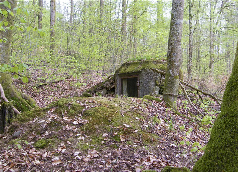 Ligne Maginot - FM17 - VOEGELSMATT 8 - (Blockhaus pour arme infanterie) -  - Jean-Louis AUBLET & Sylvie MAINGUIN