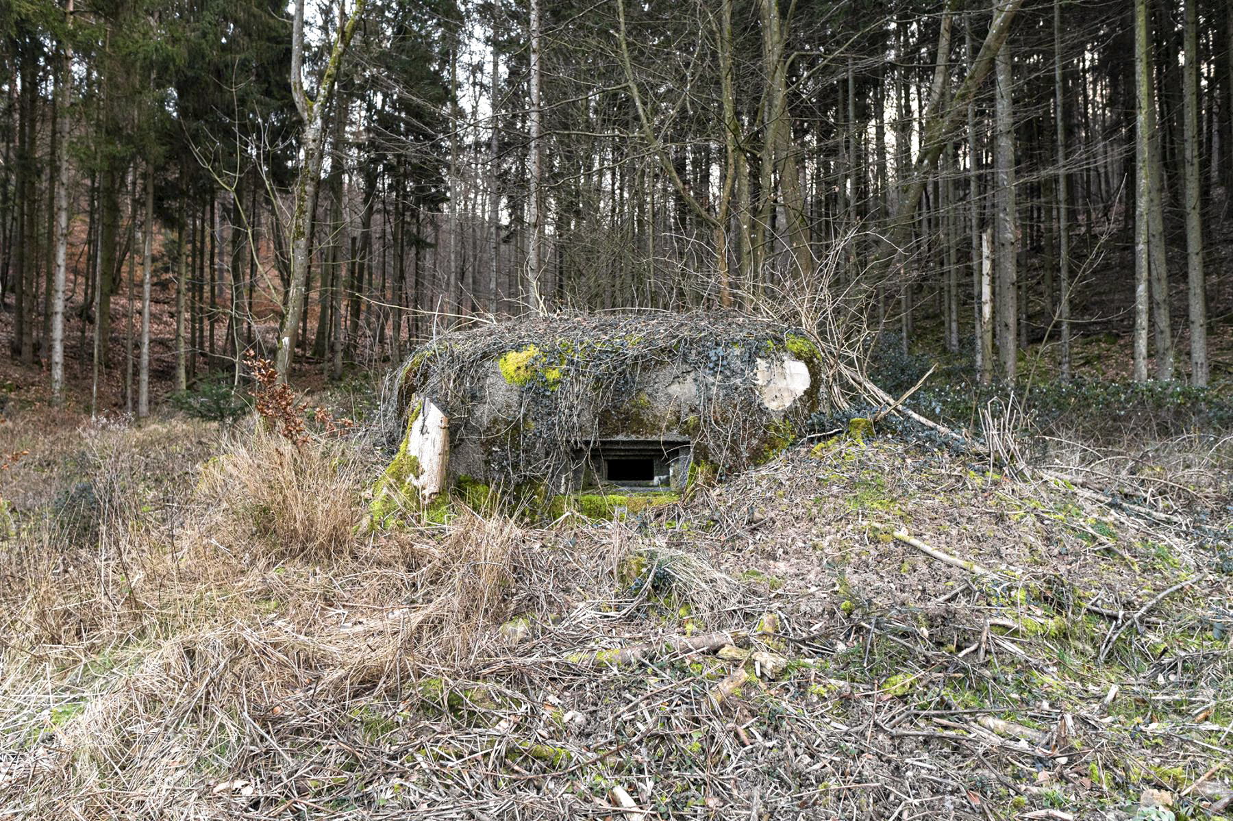 Ligne Maginot - PFAFFENBRONN 3 - (Blockhaus pour arme infanterie) -  - David Palmer