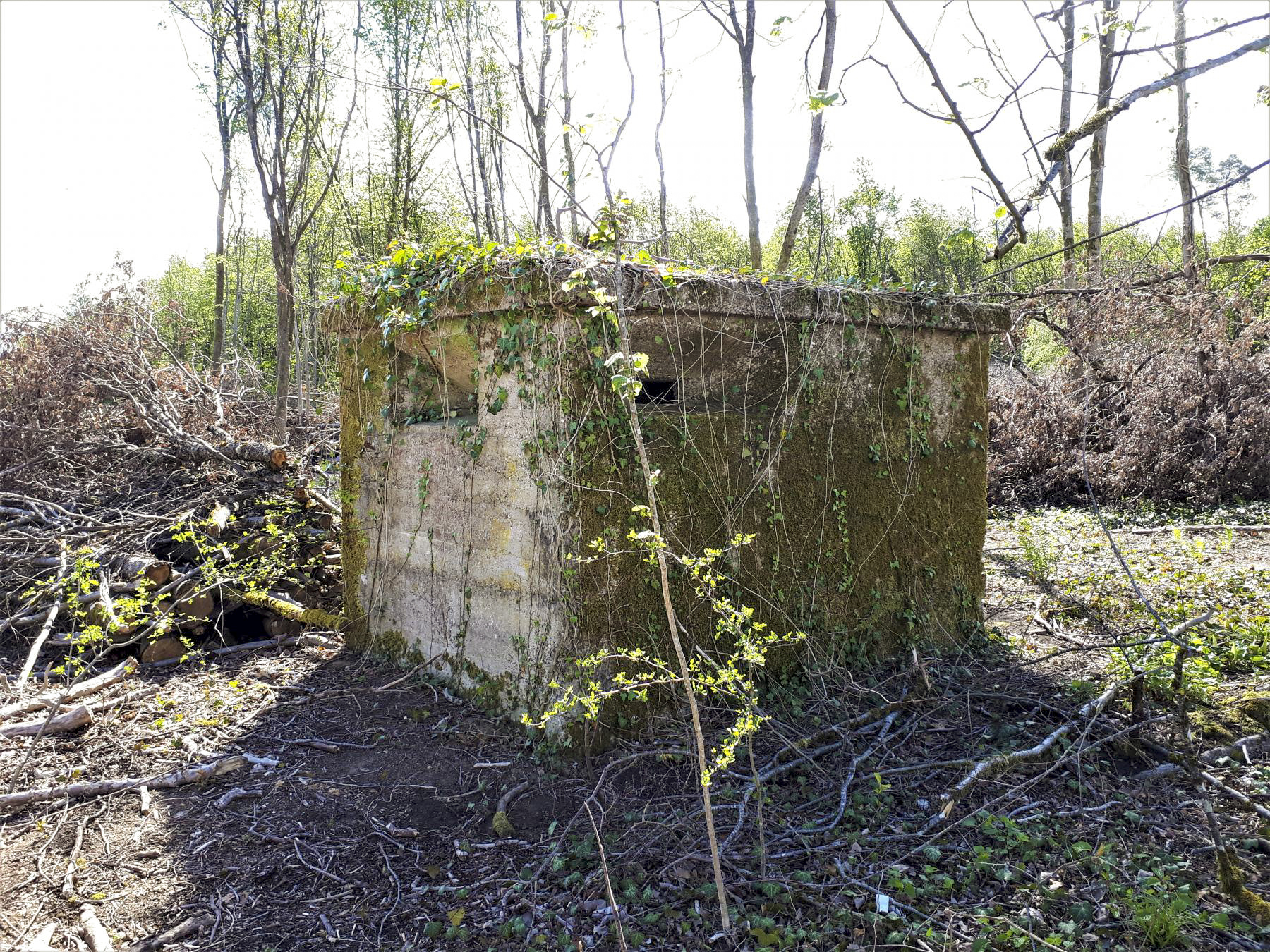 Ligne Maginot - BAN SAINT JEAN Sud (Blockhaus de type indéterminé) - Blockhaus de défense intérieure - Gregory Fuchs