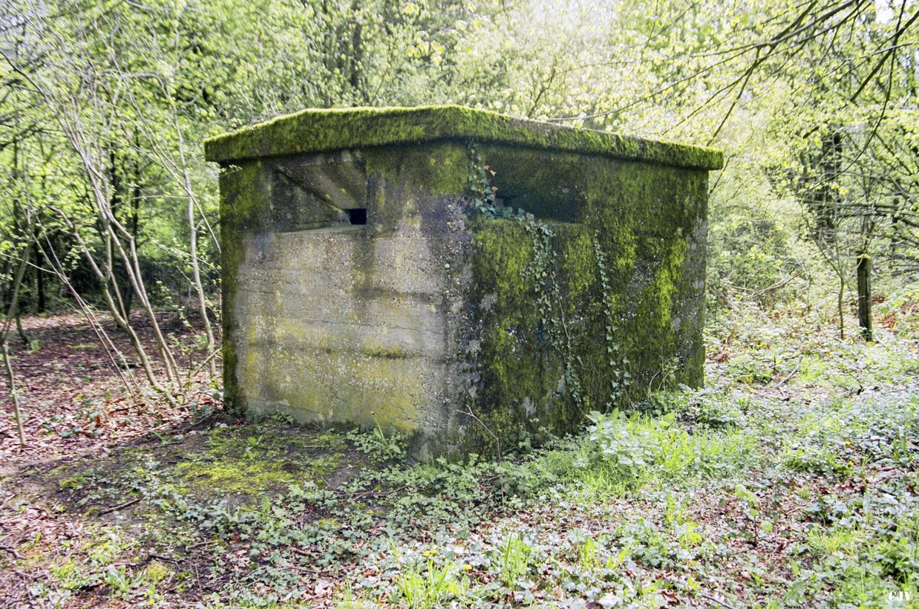 Ligne Maginot - BAN SAINT JEAN Sud (Blockhaus de type indeterminé) - Un blockhaus - Lia VERMEULEN