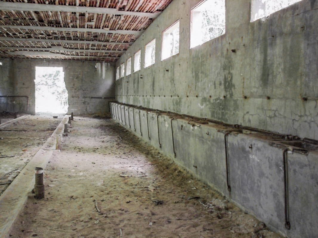 Ligne Maginot - BAN SAINT JEAN - (Camp de sureté) - L'écurie (E1) - Schnoupf