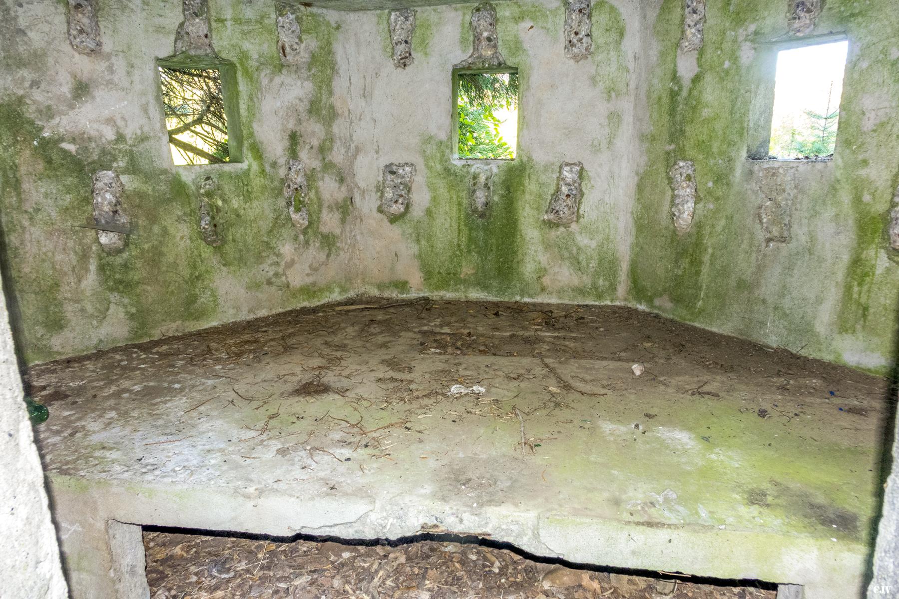 Ligne Maginot - M31 - ROUTE DE LA VERRERIE 1 - (Blockhaus pour arme infanterie) - Les trois créneaux et le support pour mitrailleuse - Lia VERMEULEN