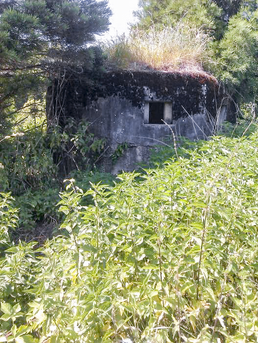 Ligne Maginot - M31 - ROUTE DE LA VERRERIE 1 - (Blockhaus pour arme infanterie) -  - donceuh