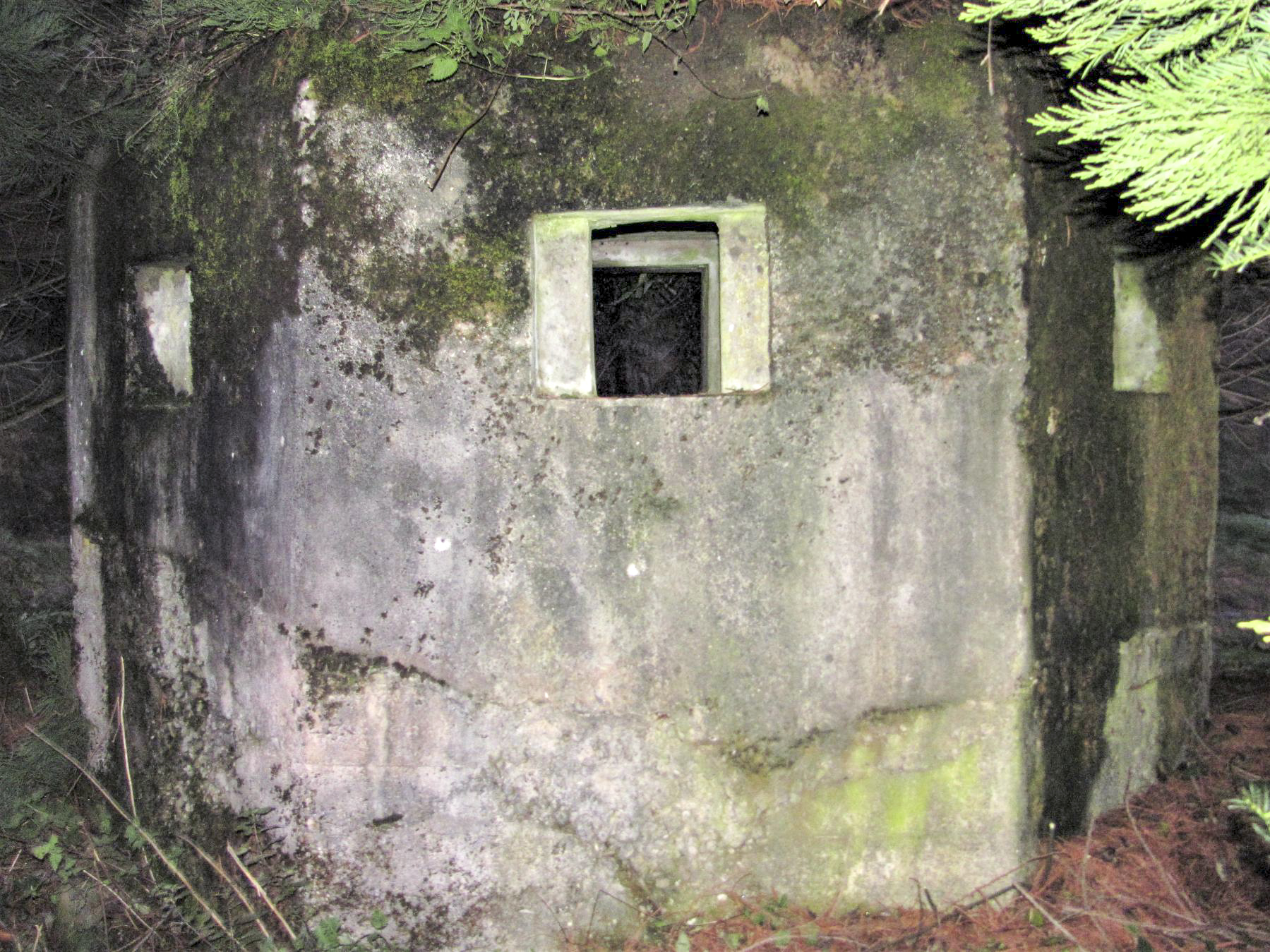 Ligne Maginot - M31 - ROUTE DE LA VERRERIE 1 - (Blockhaus pour arme infanterie) - Créneaux frontaux  - Baptiste Gaudin