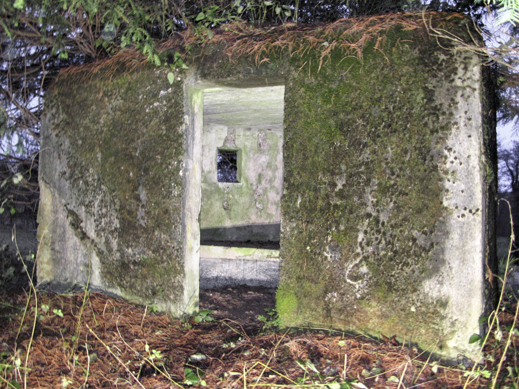 Ligne Maginot - M31 - ROUTE DE LA VERRERIE 1 - (Blockhaus pour arme infanterie) - L'entrée  - Baptiste Gaudin