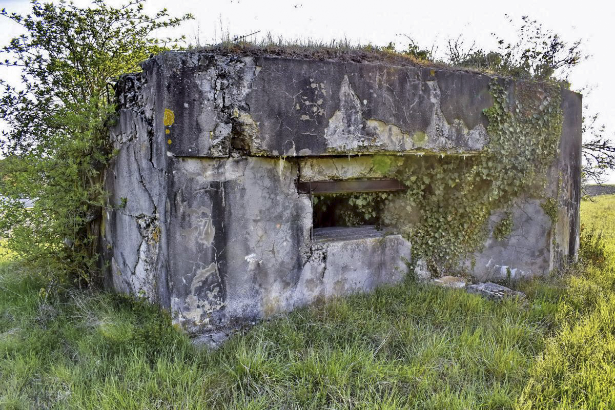 Ligne Maginot - RICHTOLSHEIM 2 - (Blockhaus pour canon) - Vue extérieure  - D. Froehly