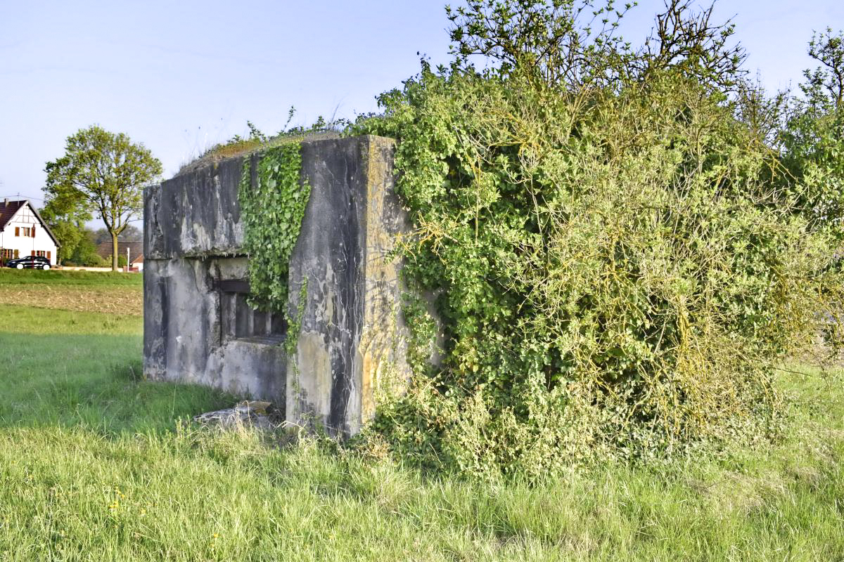 Ligne Maginot - RICHTOLSHEIM 2 - (Blockhaus pour canon) - Vue extérieure  - D. Froehly