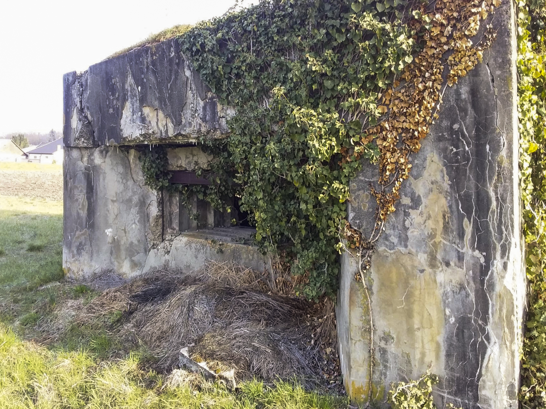 Ligne Maginot - RICHTOLSHEIM 2 - (Blockhaus pour canon) -  - Joel Muntzinger