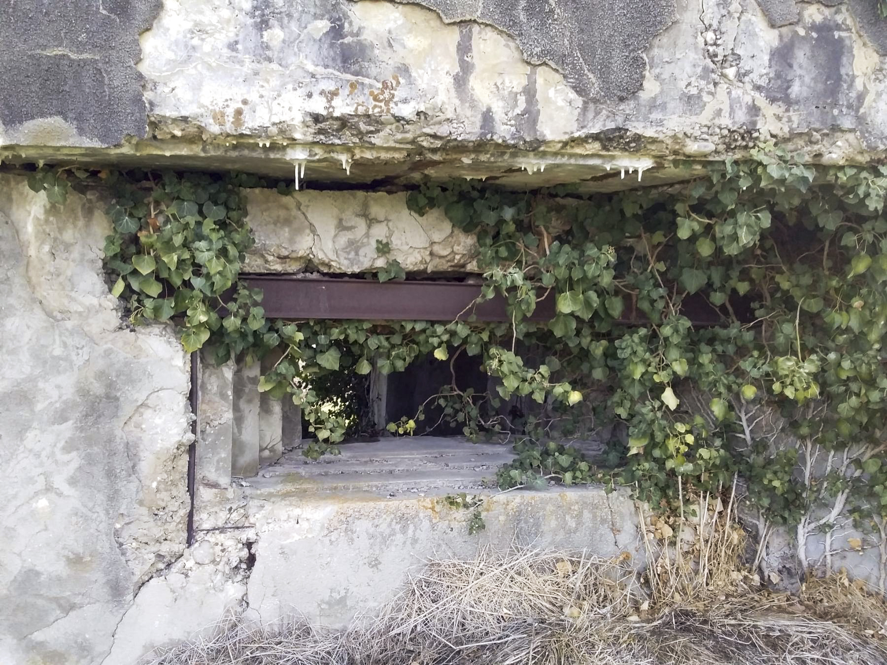 Ligne Maginot - RICHTOLSHEIM 2 - (Blockhaus pour canon) -  - Joel Muntzinger