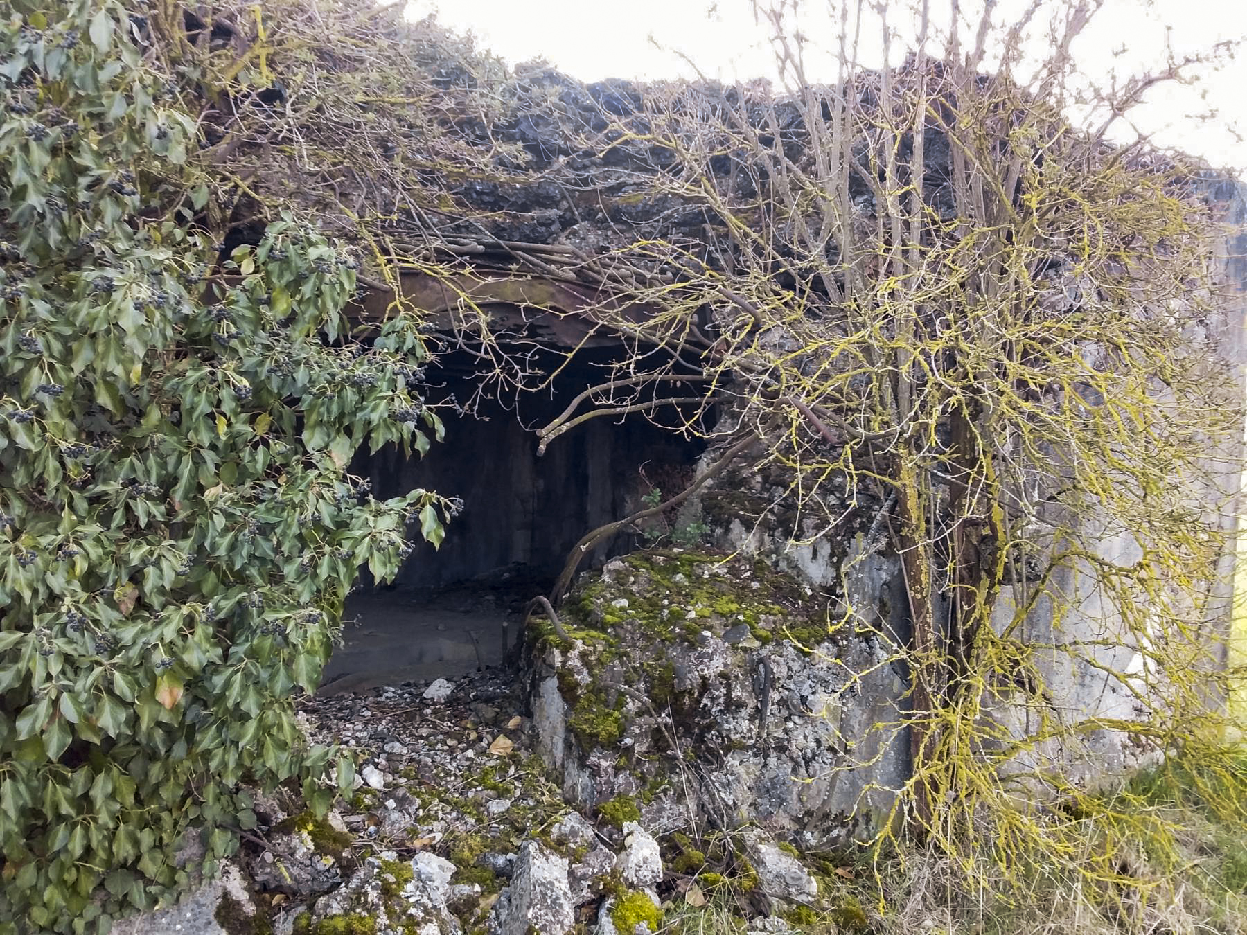 Ligne Maginot - RICHTOLSHEIM 2 - (Blockhaus pour canon) -  - Joel Muntzinger