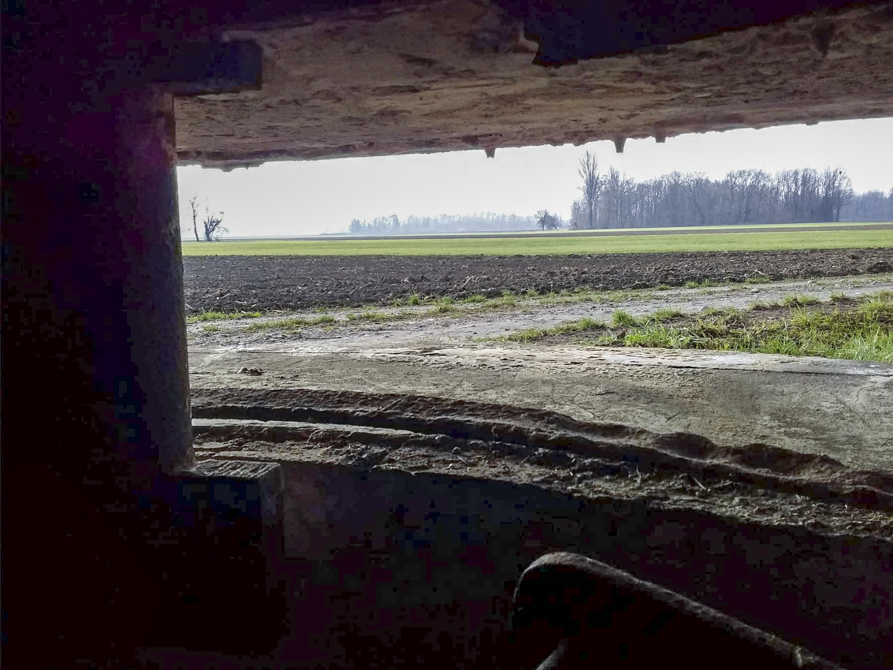 Ligne Maginot - B78 - RICHTOLSHEIM 4 - (Blockhaus pour arme infanterie) -  - Joel Muntzinger