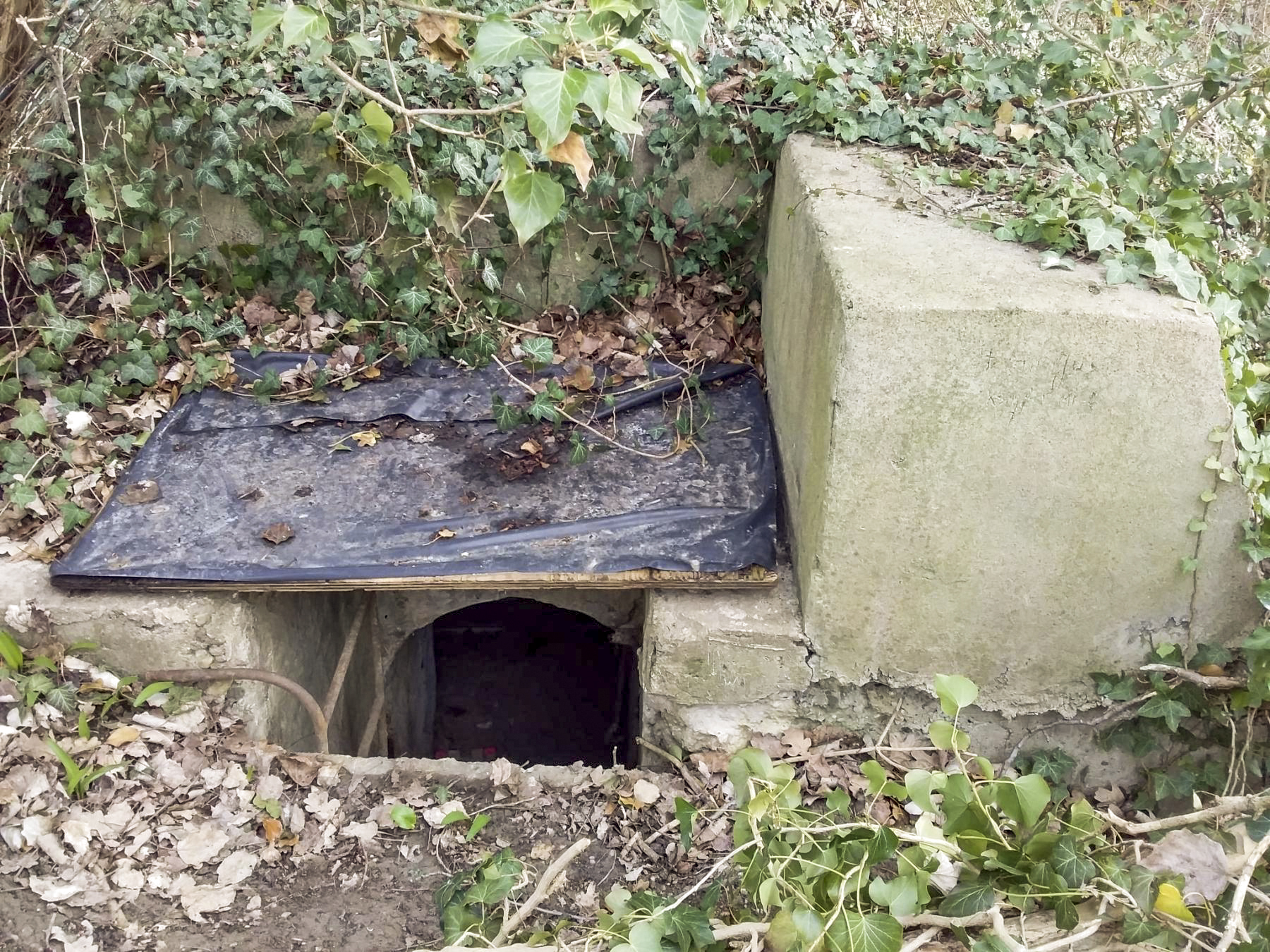 Ligne Maginot - B79 - RICHTOLSHEIM 5 - (Blockhaus pour arme infanterie) -  - Joel Muntzinger