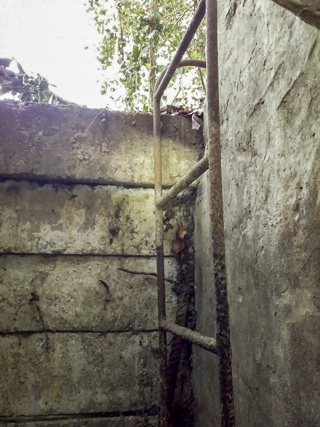 Ligne Maginot - B79 - RICHTOLSHEIM 5 - (Blockhaus pour arme infanterie) -  - Joel Muntzinger