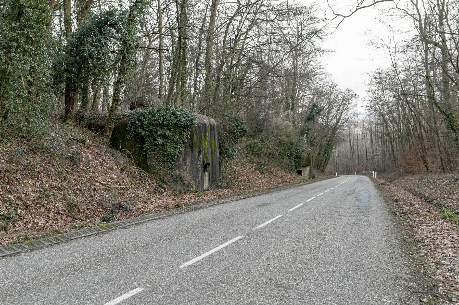 Ligne Maginot - BIRLENBACH - (Abri) - Les deux coffres d'entrée - David Palmer