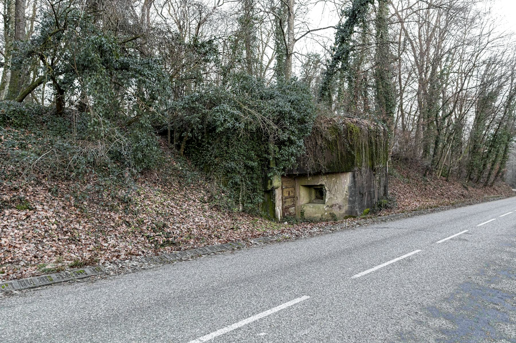 Ligne Maginot - BIRLENBACH - (Abri) - Le coffre d'entrée Est - David Palmer