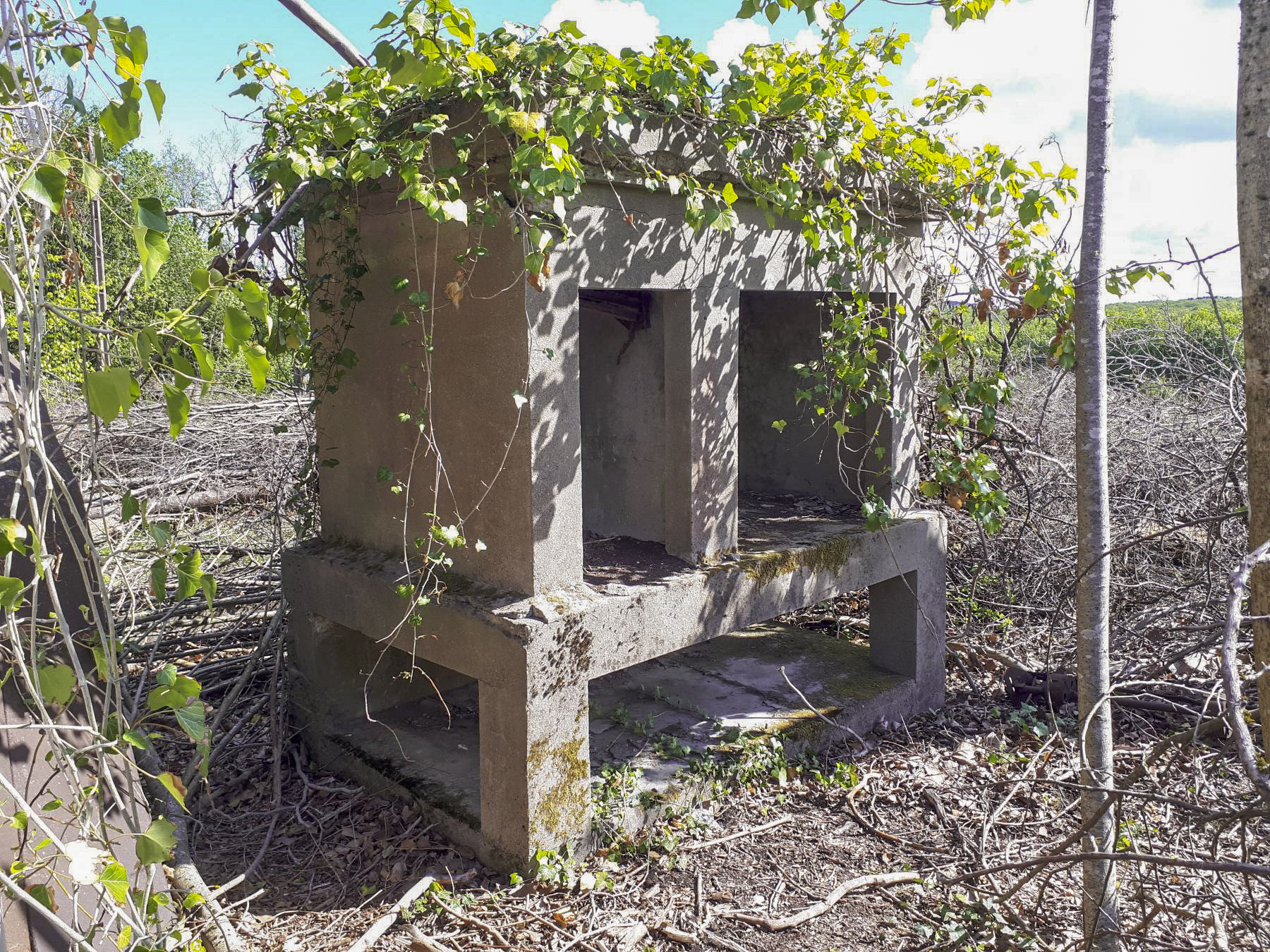 Ligne Maginot - BAN SAINT JEAN - (Camp de sureté) - Four à incinérer (Y3) - Gregory Fuchs