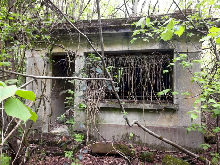 Ligne Maginot - BAN SAINT JEAN - (Camp de sureté) - Cabine téléphonique - GERRYMANDERS Olivier