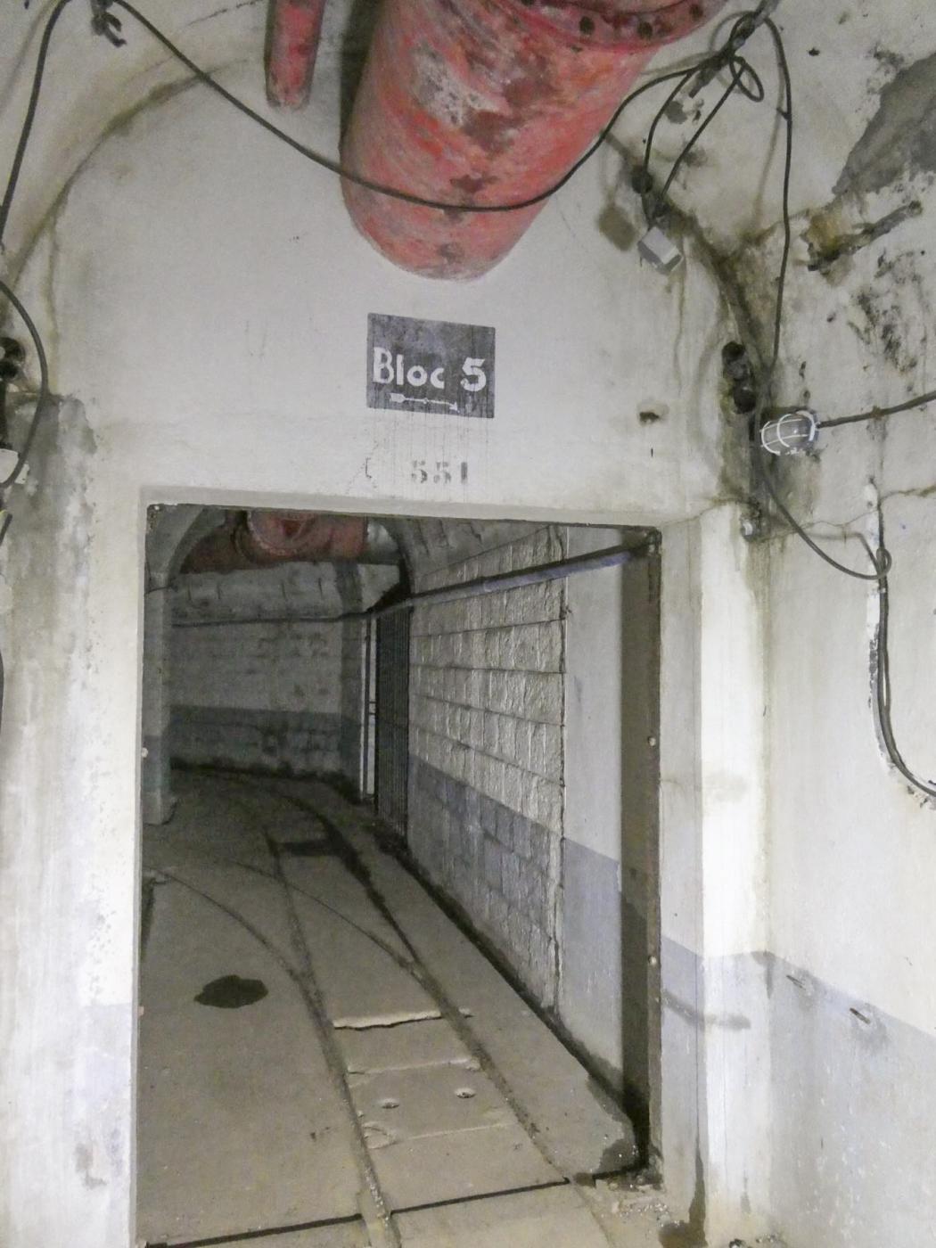 Ligne Maginot - RIMPLAS (RS) - (Ouvrage d'artillerie) - Bloc 5
Accès - ELLENA Daniel - CUNY Philippe