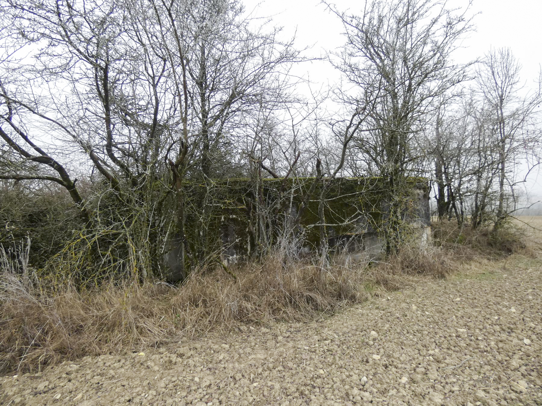 Ligne Maginot - ELSENBERG 1 - (Casemate d'infanterie - Simple) - Le blockhaus vu depuis l'Est. - STENGER Mathieu