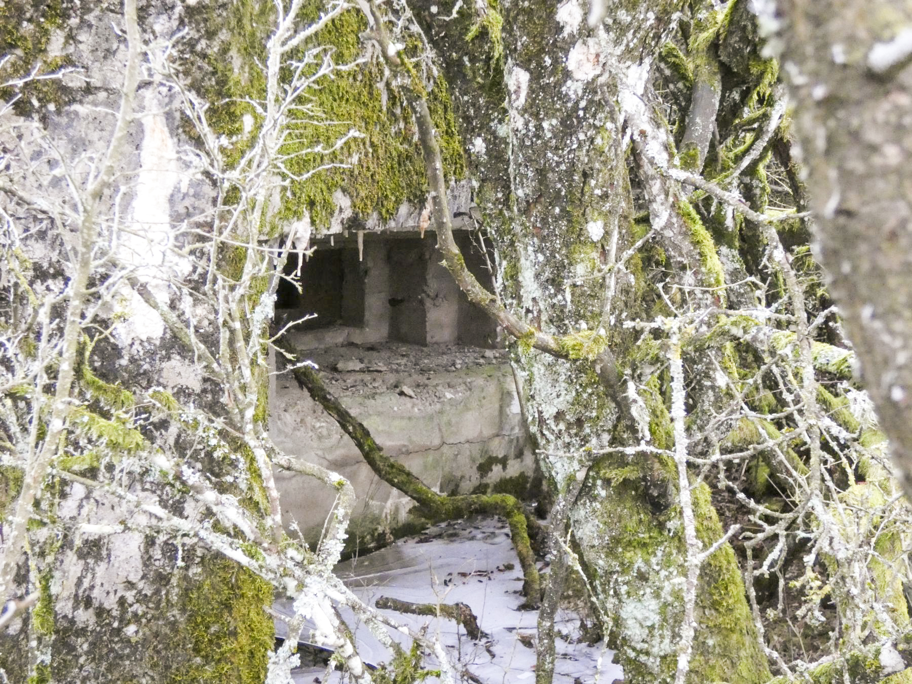 Ligne Maginot - ELSENBERG 1 - (Casemate d'infanterie - Simple) - Le créneau de flanquement vers la gauche. - STENGER Mathieu