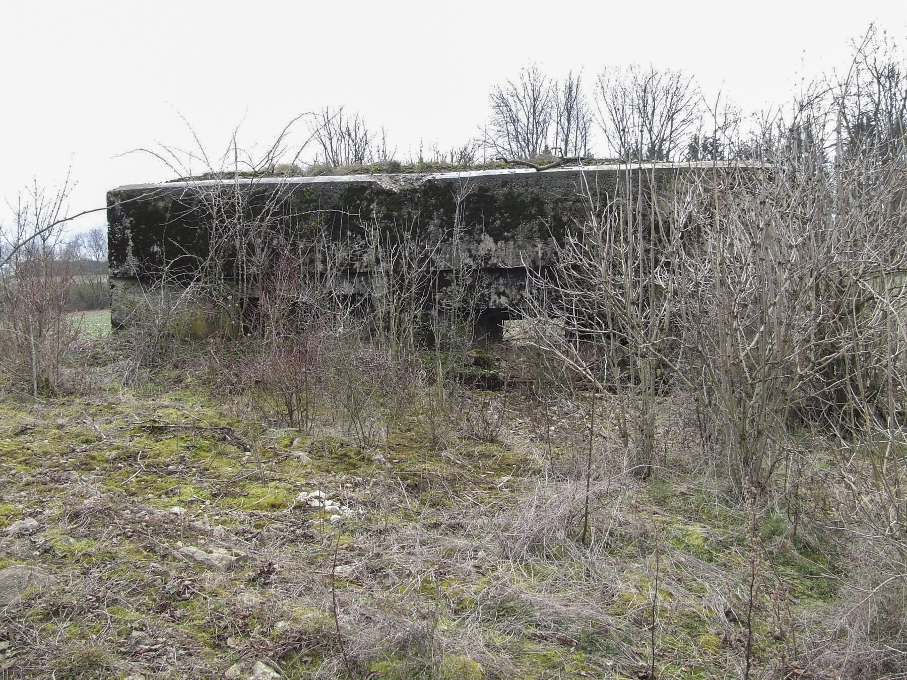 Ligne Maginot - OLFERDINGER 1 - (Blockhaus pour canon) - La façade de tir du blockhaus. - STENGER Mathieu