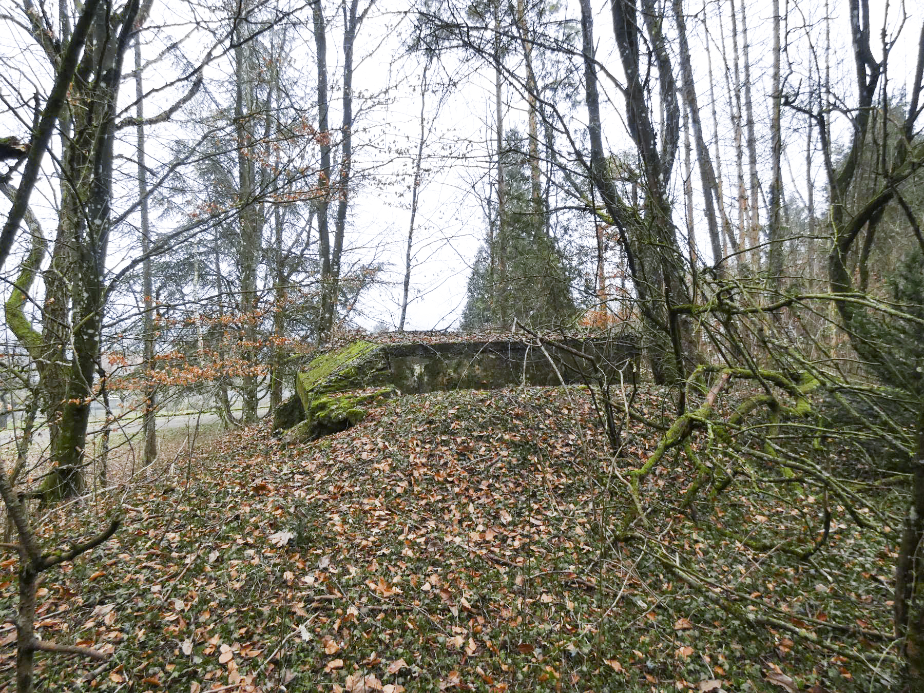 Ligne Maginot - ELSENBERG 8 - (Blockhaus pour canon) - Une vue d'ensemble du blockhaus. - STENGER Mathieu