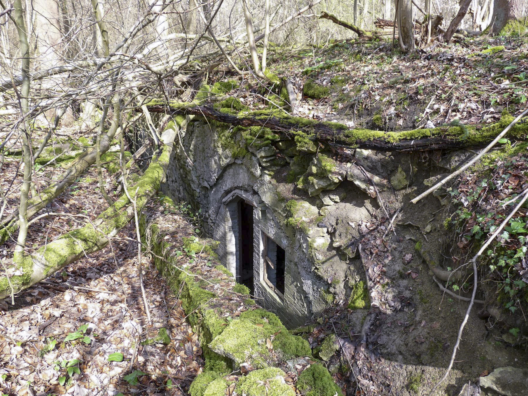 Ligne Maginot - BOIS DE MEDERCHEN (I/160° RIF) - (PC de Quartier) -  - Sylvie Laure LAMBERT