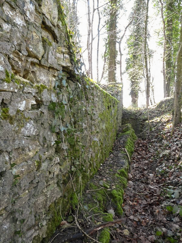 Ligne Maginot - FERME DE SUZANNE (BIE 165° RAP) - (PC) -  - Sylvie Laure LAMBERT