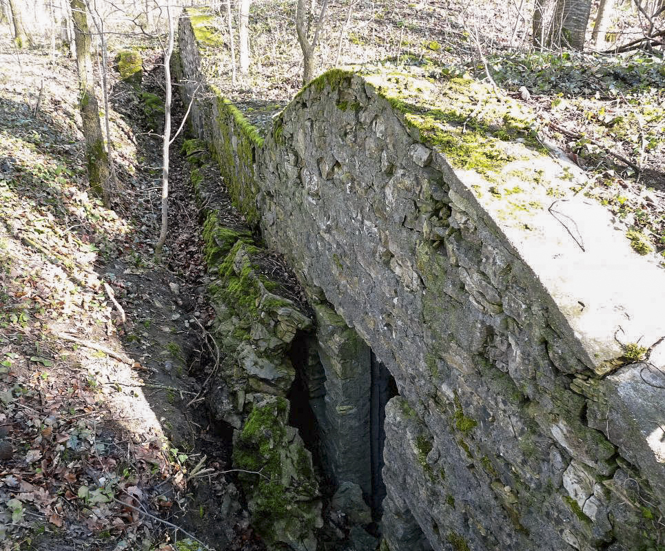 Ligne Maginot - FERME DE SUZANNE (BIE 165° RAP) - (PC) -  - Sylvie Laure LAMBERT