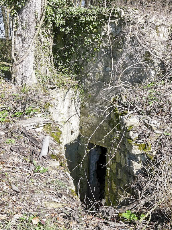 Ligne Maginot - FERME DE SUZANNE (BIE 165° RAP) - (PC) - Entrée du pc - Sylvie Laure LAMBERT