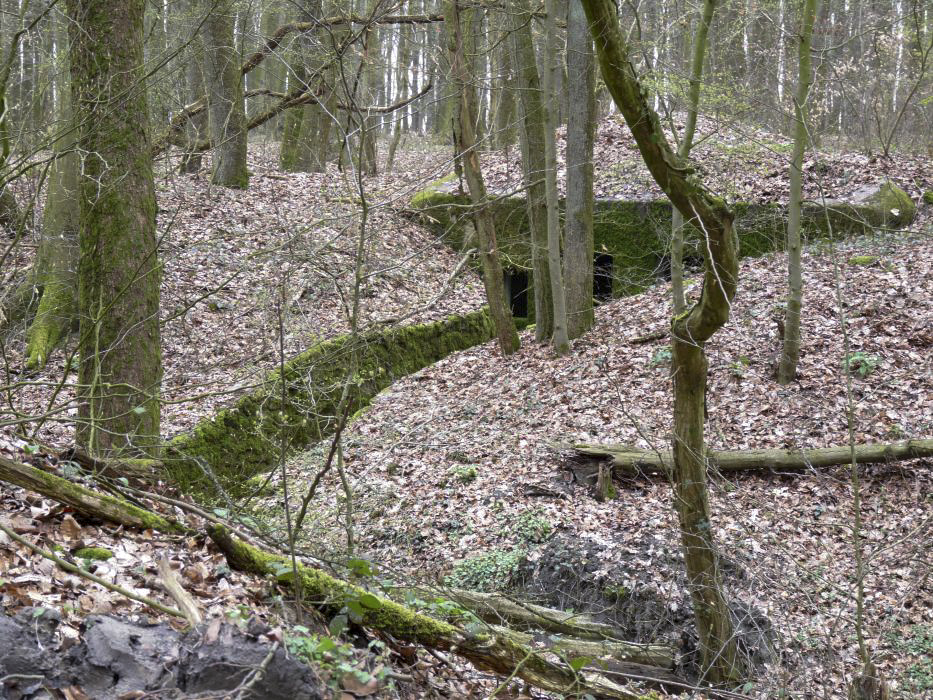 Ligne Maginot - GROS BOIS (160° RIF) - (PC de Sous-Secteur) - L'un des bâtiments  - LAMBERT Sylvie Laure