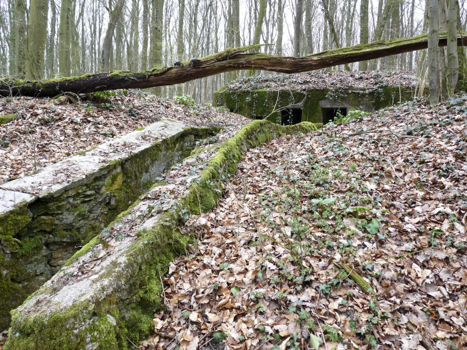 Ligne Maginot - GROS BOIS (160° RIF) - (PC de Sous-Secteur) - Le premier bâtiment.
Noter la présence d'isolateurs dans l'arbre couché. - LAMBERT Sylvie Laure