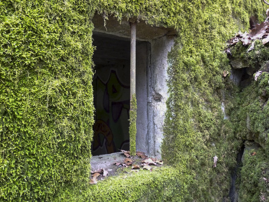 Ligne Maginot - GROS BOIS (160° RIF) - (PC de Sous-Secteur) - Le bâtiment de droite 
Détail des fenêtres  - LAMBERT Sylvie Laure
