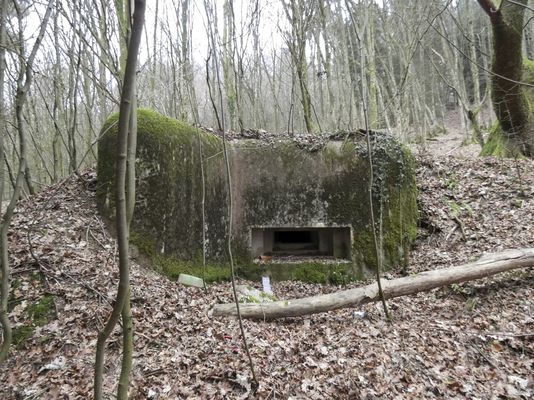 Ligne Maginot - KLAM 6 - (Blockhaus pour arme infanterie) - La façade de tir du blockhaus. - STENGER Mathieu