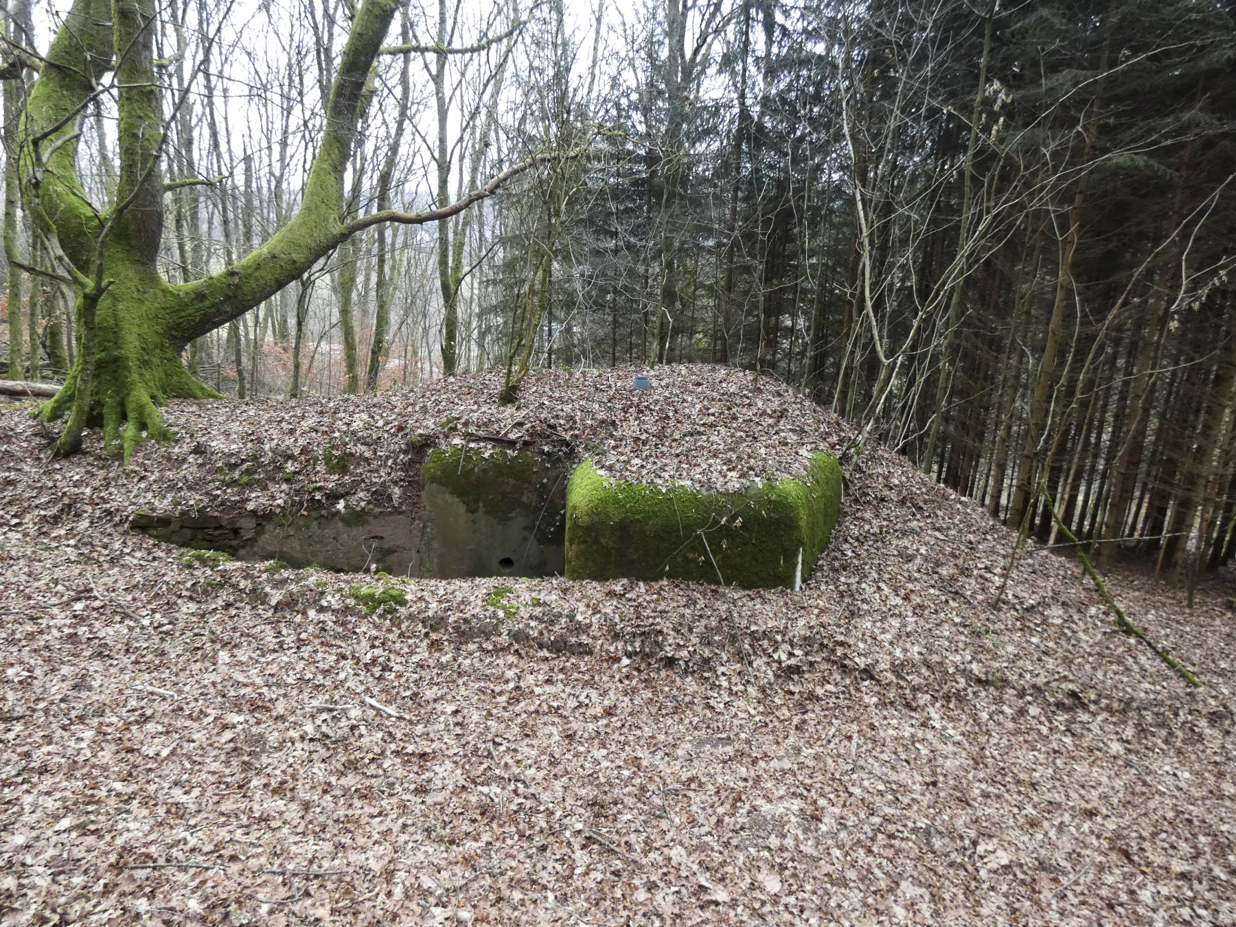 Ligne Maginot - KLAM 6 - (Blockhaus pour arme infanterie) - La vue d'ensemble. - STENGER Mathieu