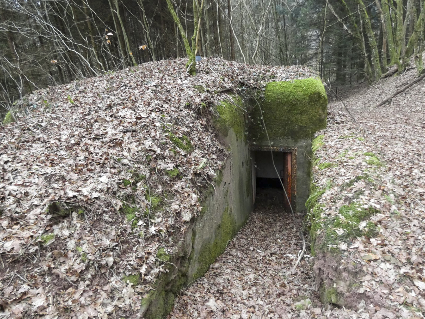 Ligne Maginot - KLAM 6 - (Blockhaus pour arme infanterie) - L'entrée du blockhaus. - STENGER Mathieu