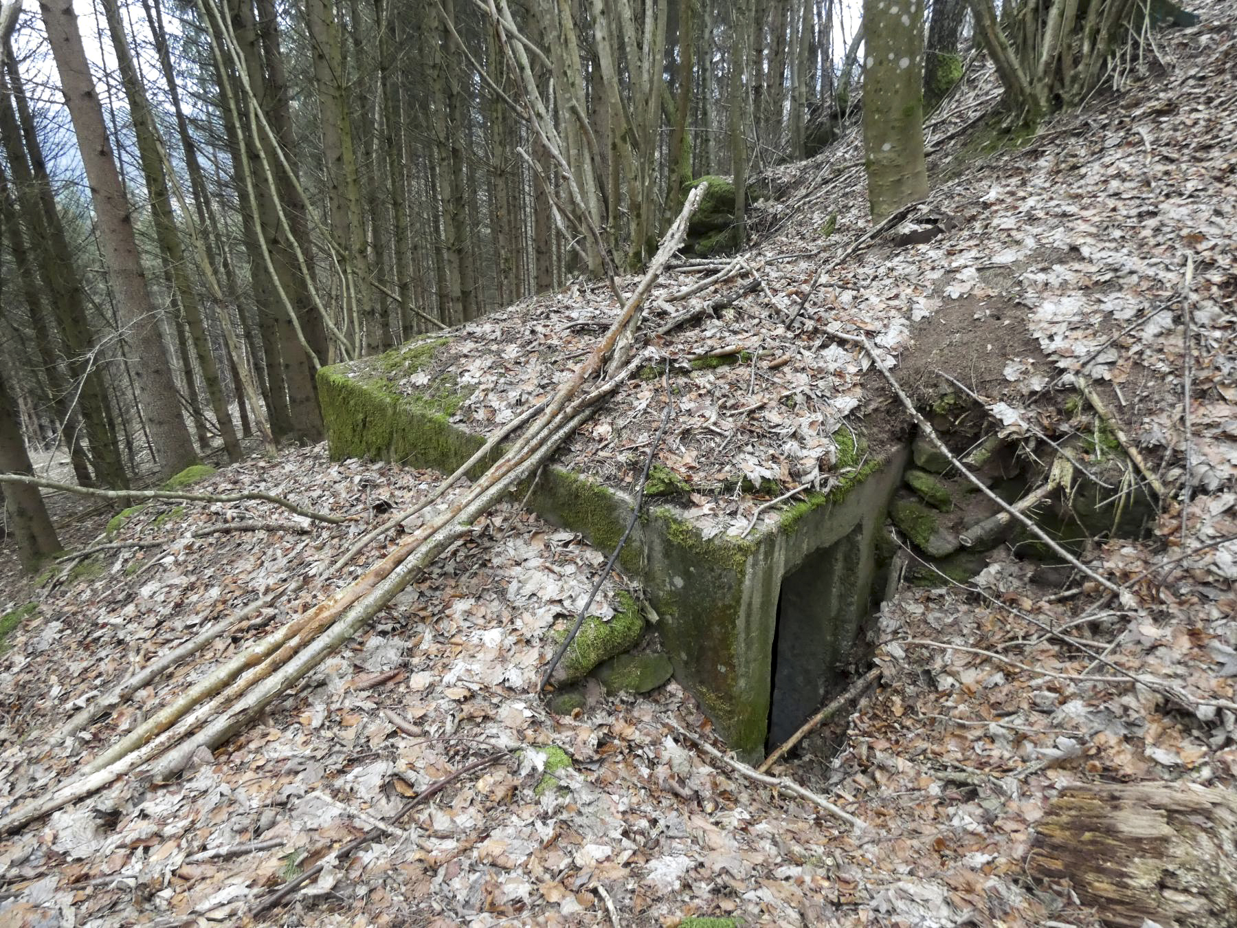 Ligne Maginot - KLAM 7 - (Blockhaus pour arme infanterie) - L'entrée du blockhaus. - STENGER Mathieu
