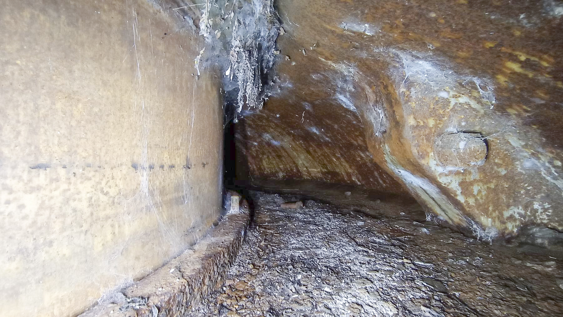 Ligne Maginot - WELSCHHOF - (Ouvrage d'infanterie) - L'avant cuirasse de la tourelle pour 2 armes Mixtes   - Baptiste GAUDIN