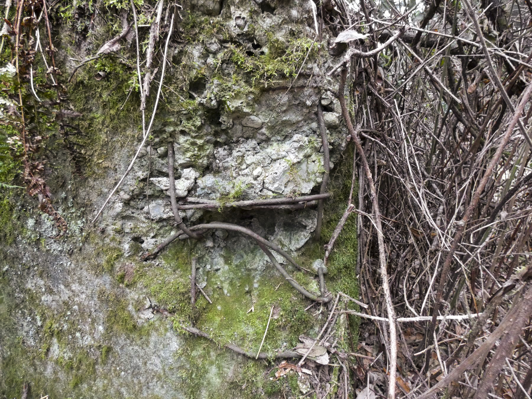 Ligne Maginot - RUISSEAU DU GROSSTHAL 4 - (Blockhaus pour arme infanterie) - Sur la façade un impact de tir. - STENGER Mathieu
