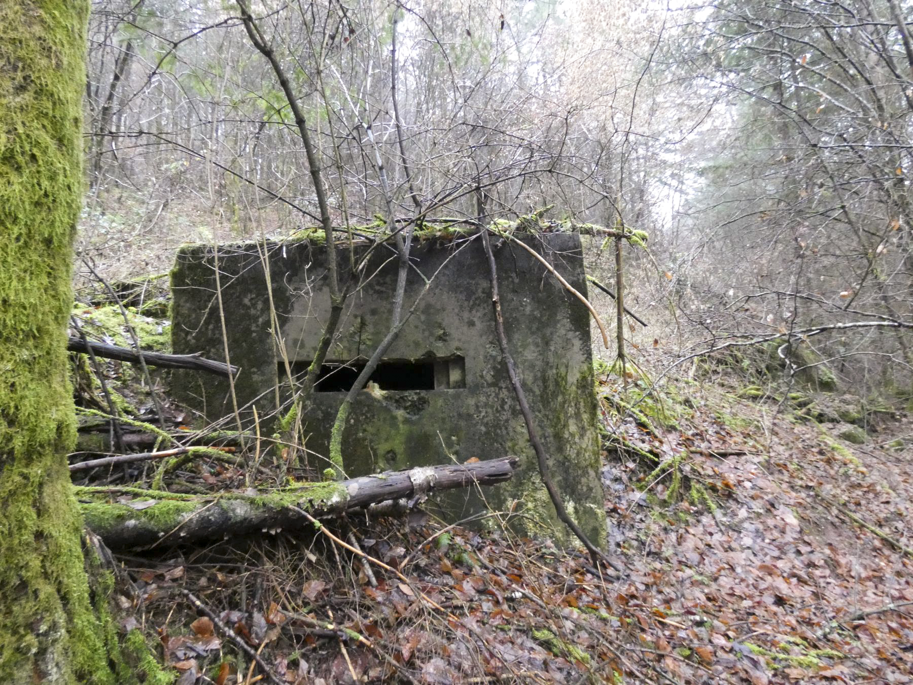 Ligne Maginot - RUISSEAU DU GROSSTHAL 3 - (Blockhaus pour arme infanterie) - La façade de tir. - STENGER Mathieu