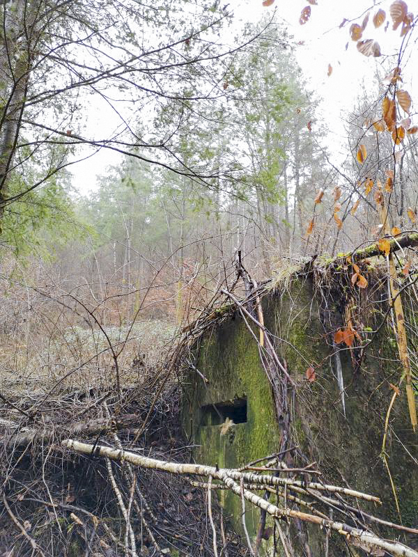 Ligne Maginot - RUISSEAU DU GROSSTHAL 3 - (Blockhaus pour arme infanterie) -  - A.F.V.N. Association des Amis de la Fortification des Vosges du Nord