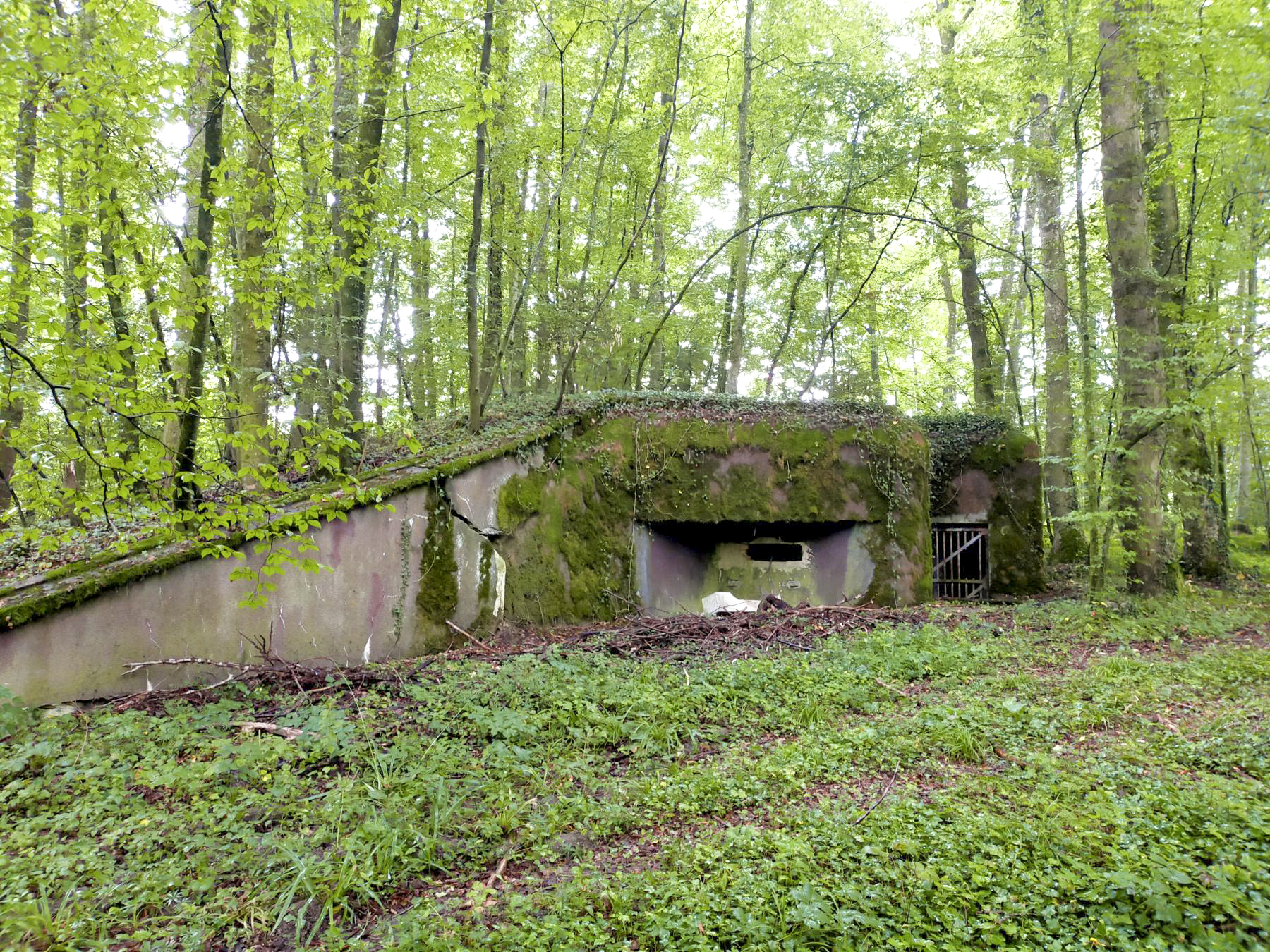 Ligne Maginot - 108 - STRENGWALD NORD - (Casemate d'infanterie - Double) - Vue de l'entrée et du second créneau pour mitrailleuse - Julien Boulanger