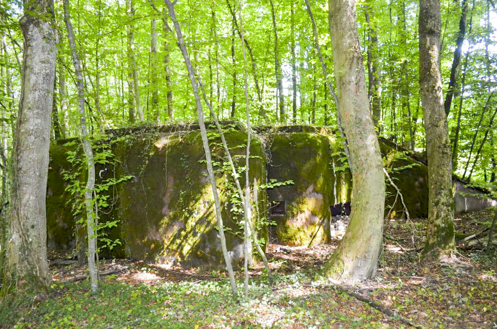Ligne Maginot - 108 - STRENGWALD NORD - (Casemate d'infanterie - Double) - Vue extérieure - D. Froehly