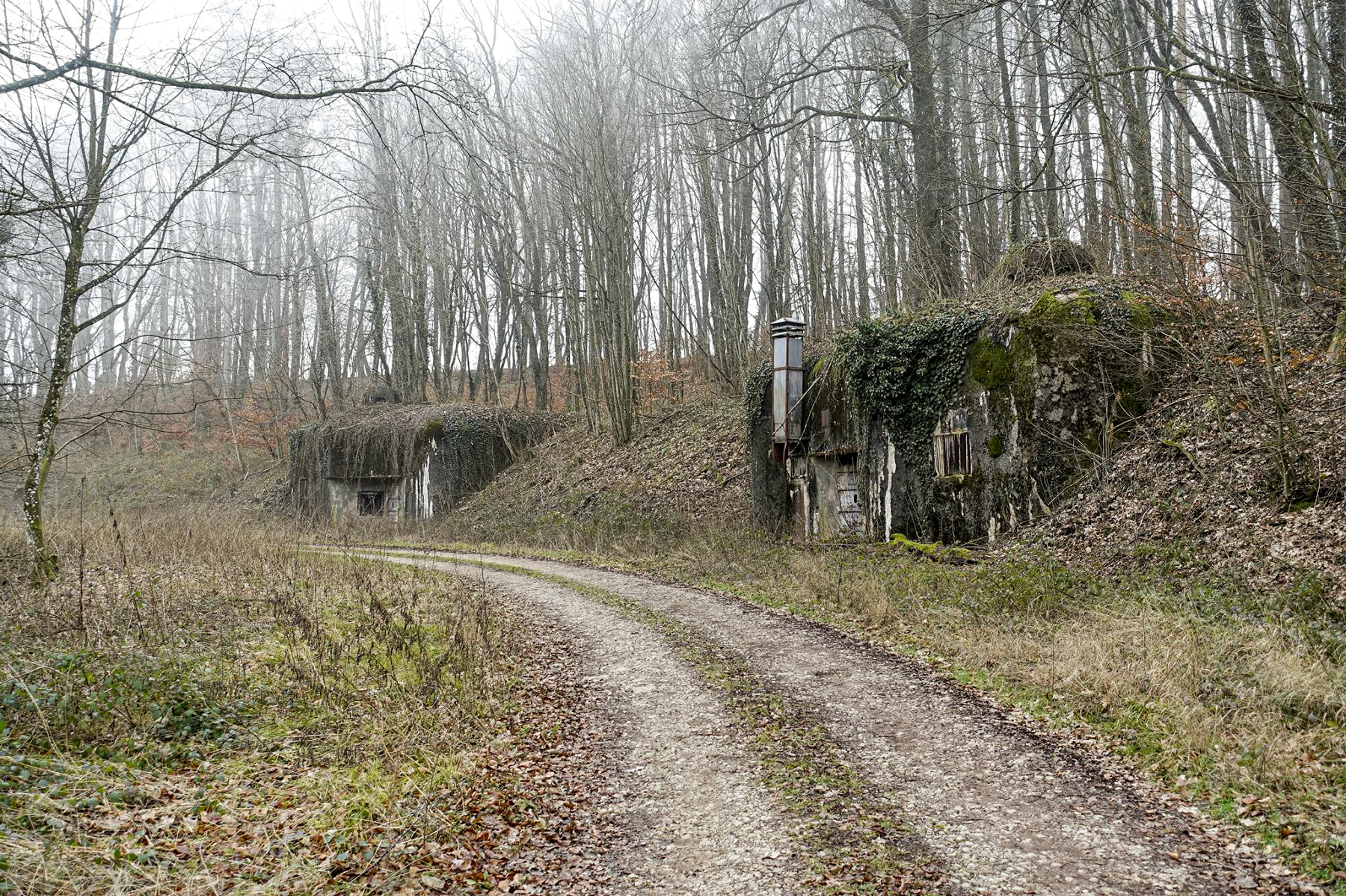 Ligne Maginot - FREUDENBERG (QUARTIER SCHIESSECK - I/37° RIF) - (Abri) -  - David Palmer
