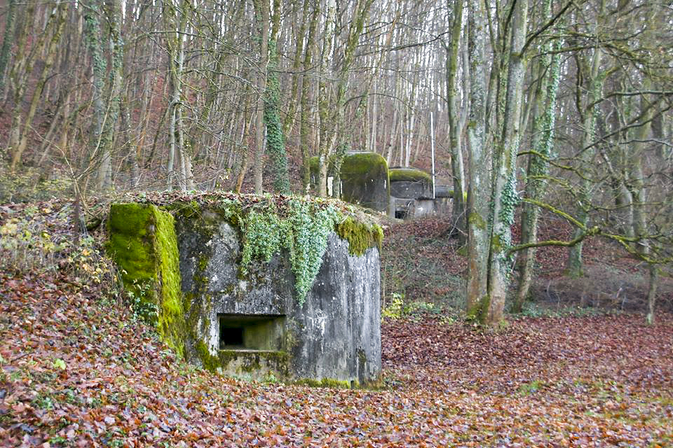 Ligne Maginot - OLTINGUE NORD 1 - (Blockhaus pour arme infanterie) - Avec la casemate d'artillerie de Oltingue au second plan - GRAMI